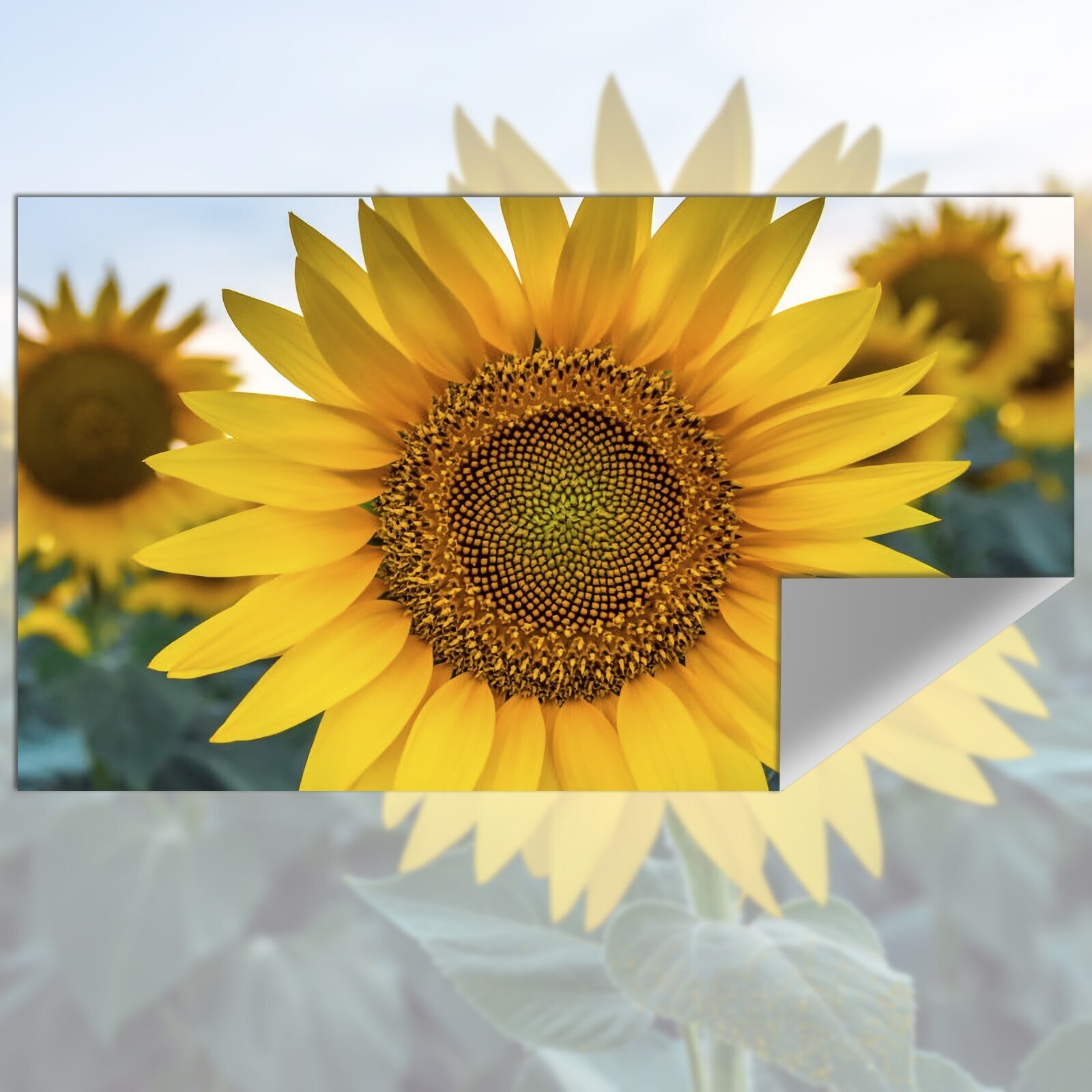 Projection Screen Reflective F - Projector Screen 100 Inch incelemesi ve fiyatı