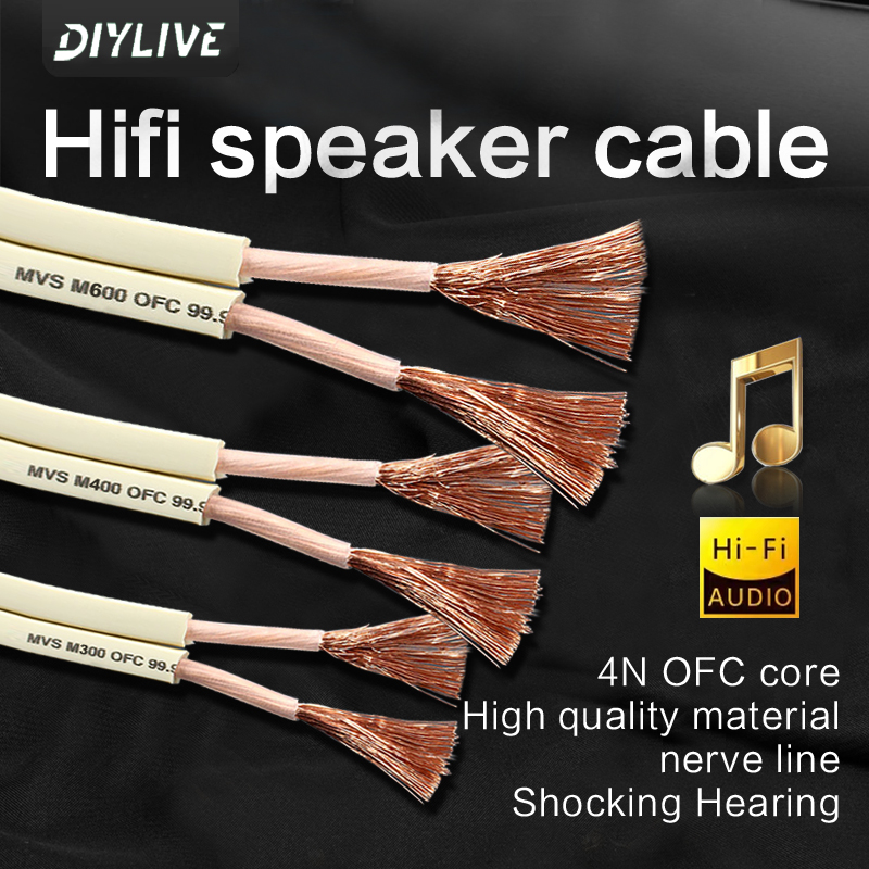 DIYLIVE HiFi Speaker line home - Home Cinema Xlr incelemesi ve fiyatı