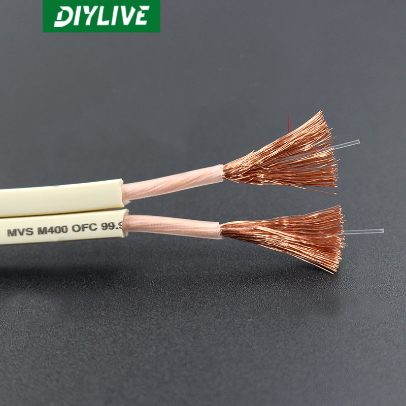 DIYLIVE HiFi Speaker line home - Home Cinema Xlr incelemesi ve fiyatı