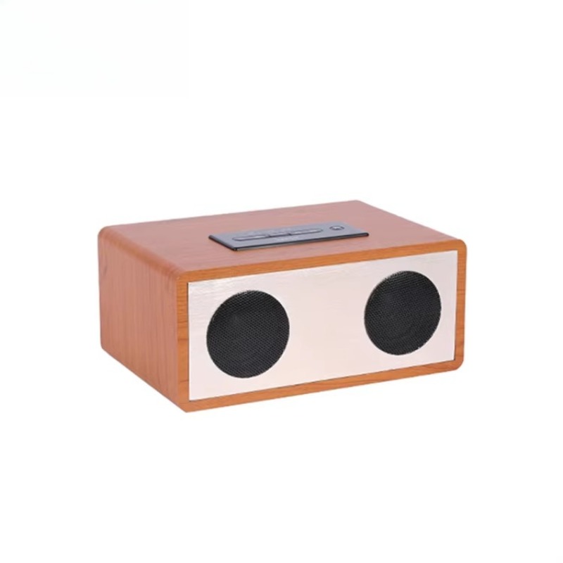 Custom Logo Karaoke Speaker Mu - Home Cinema Xlr incelemesi ve fiyatı