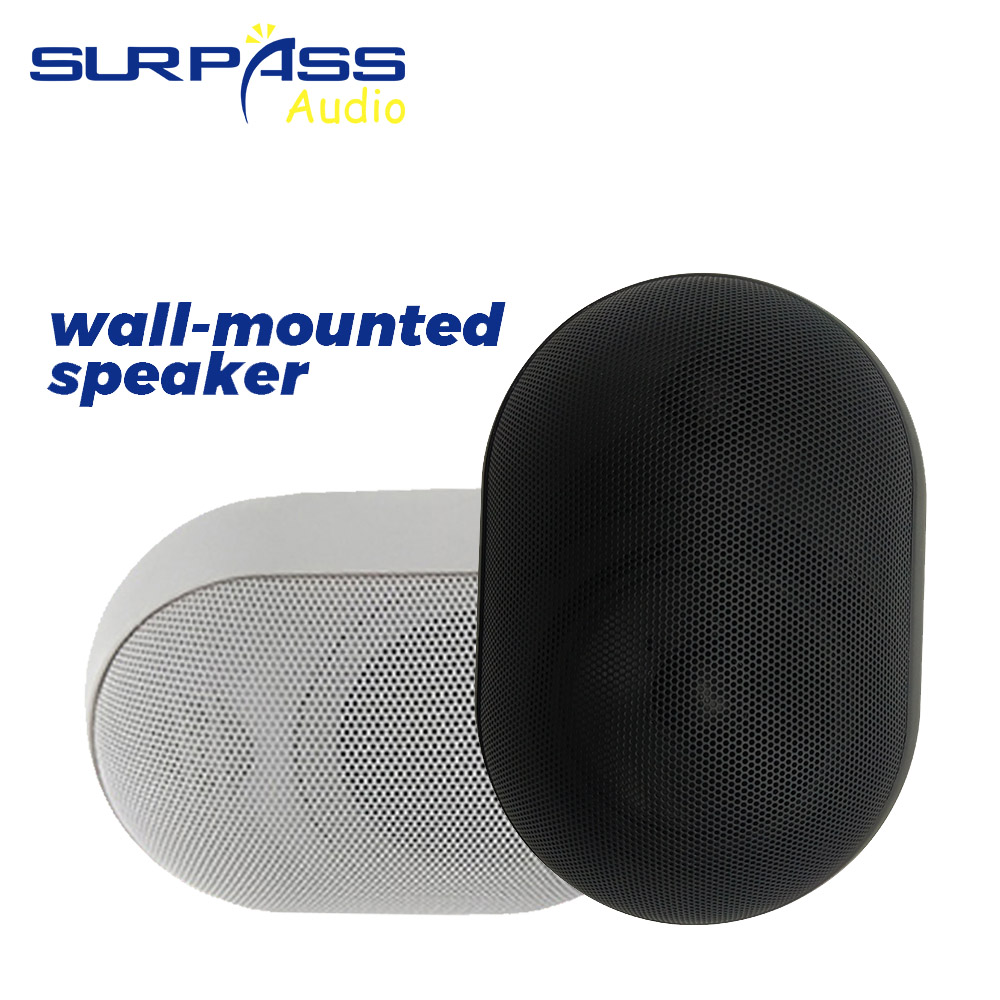 30W Wall-mounted Speaker Water - Wall Mount Speaker incelemesi ve fiyatı
