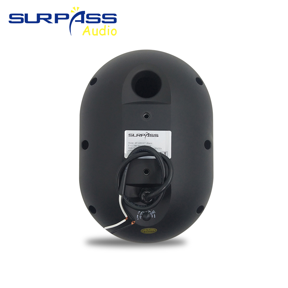 30W Wall-mounted Speaker Water - Wall Mount Speaker incelemesi ve fiyatı